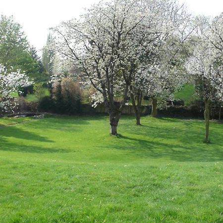 Hotel Villa Falkenberg Düsseldorf Zewnętrze zdjęcie